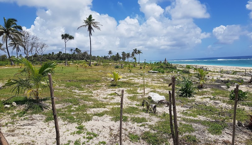 Tonga